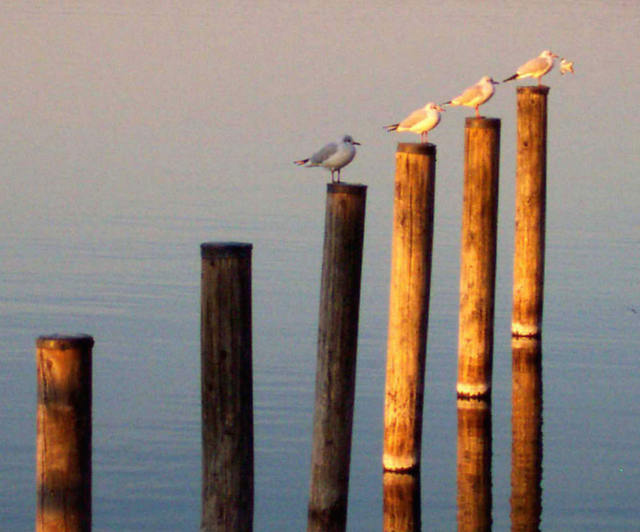 Starnberger See – Oberbayern